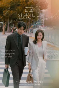 Мой идеальный секретарь